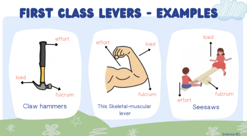Simple Machines: Levers - Image 4